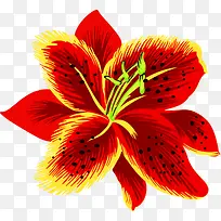 手绘红花宣传海报
