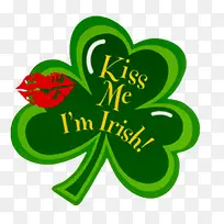 亲吻我的爱尔兰