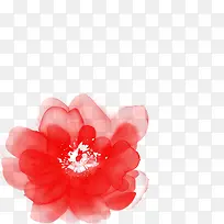 红色水彩设计花朵装饰