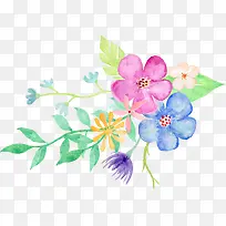 花草