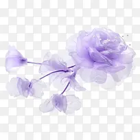 花草ps素材庆典花卉