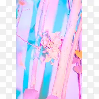 蓝背景粉色树干花朵