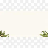 绿色花朵固定背景
