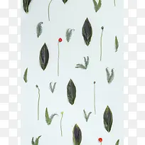 简约花朵绿叶背景壁纸