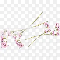 紫色花枝