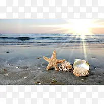 沙滩上的星星唯美素材