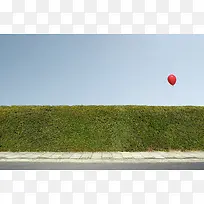 绿色树丛红色气球