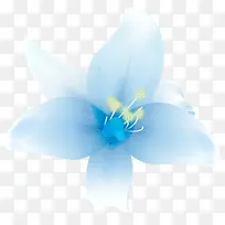蓝色高清创意花卉植物合成效果
