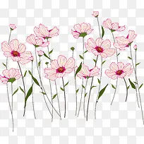 创意合成植物花卉花朵手绘