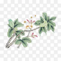 花