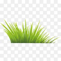绿色草坪