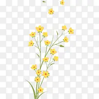 创意手绘扁平黄色的花卉植物