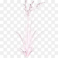 装饰图标植物花卉素材