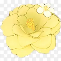 黄色创意高清花卉植物合成效果