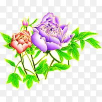 创意高清合成花卉植物手绘