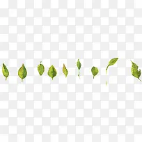 高清创意绿色的植物树叶