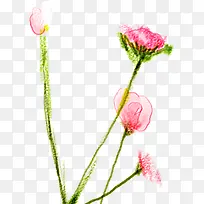 粉色手绘创意植物春日