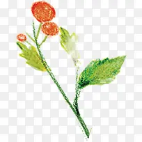高清创意彩绘风格草本植物