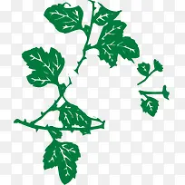 绿色创意植物花草设计