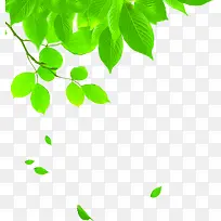 创意元素绿色植物树叶