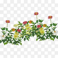 创意手绘植物花卉卡通