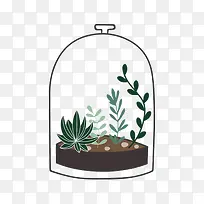 玻璃罩中的植物