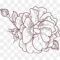 创意手绘素描花卉植物