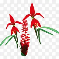 创意手绘红色的植物花卉草本