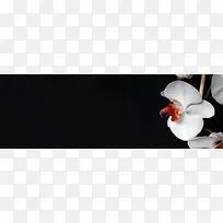 门户网站banner创意设计