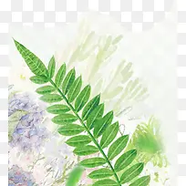 创意合成手绘绿色的草本植物
