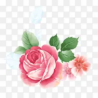 红色茶花