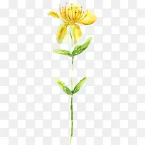 创意高清合成黄色的花卉植物