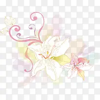 手绘百合