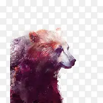 熊动物手绘插画