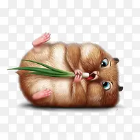 小老鼠
