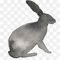 手绘兔子