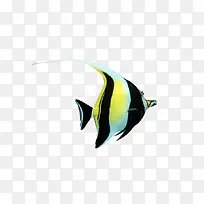 条纹鱼 彩色的鱼