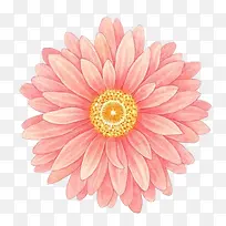花朵黄蕊手绘粉色