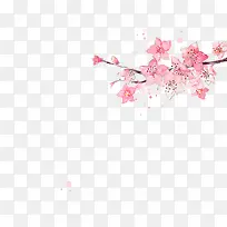 手绘粉色花朵花枝