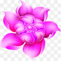 手绘粉色花朵宣传