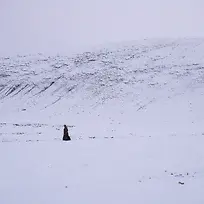 冬日雪地冒险人物