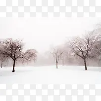 冬季雪地枯树林海报背景