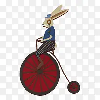骑自行车兔子