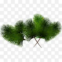 绿色植物圣诞装饰