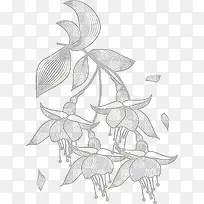 手绘花