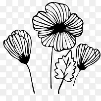 黑色手绘线条花卉