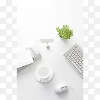 白色简约绿叶植物