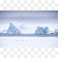 冰山企鹅海报背景