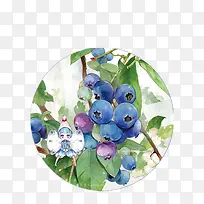 蓝莓