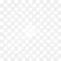 线条